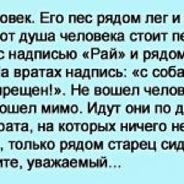Умер человек. Его пес рядом лег и тоже умер.