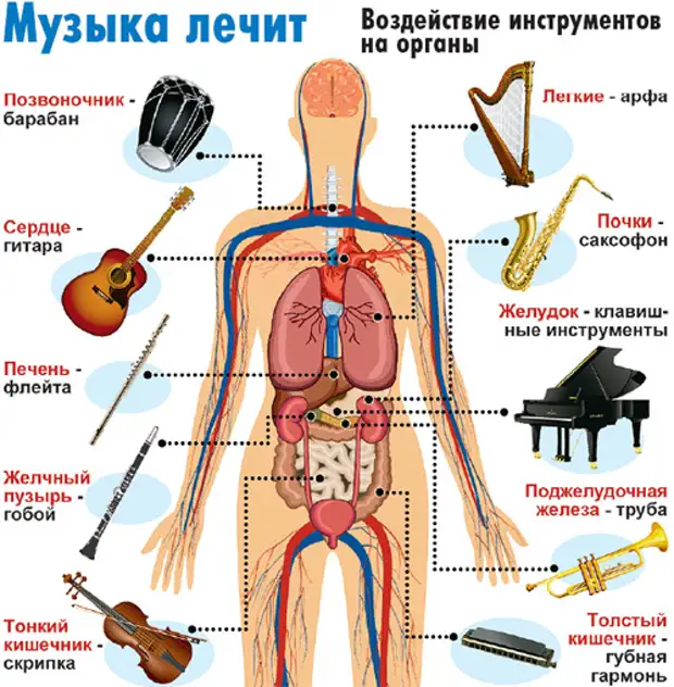 Как песни лечат. Влияние музыкальных инструментов на органы. Орган с человеком музыкальный инструмент. Музыкальные инструменты влияющие на органы человека. Влияние музыки на органы.