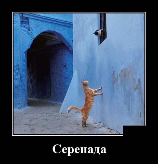 Демотиваторы (30 фото)