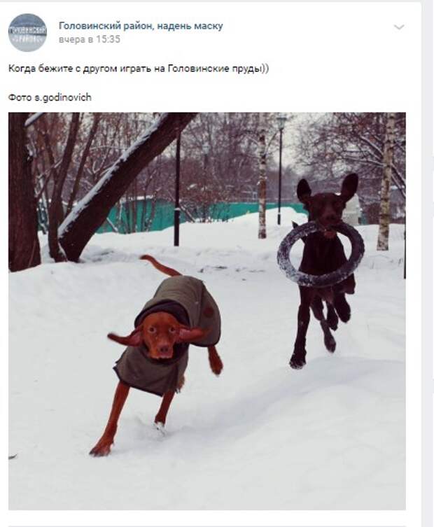 Фото дня: бегом гулять на Головинские пруды!