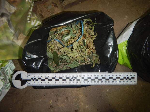 Керчанин хранил дома 2,5 кг каннабиса