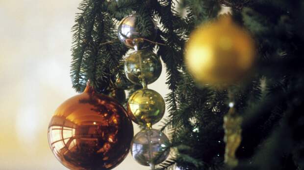 Эксперт посоветовал дезинфицировать ёлку водкой или аспирином