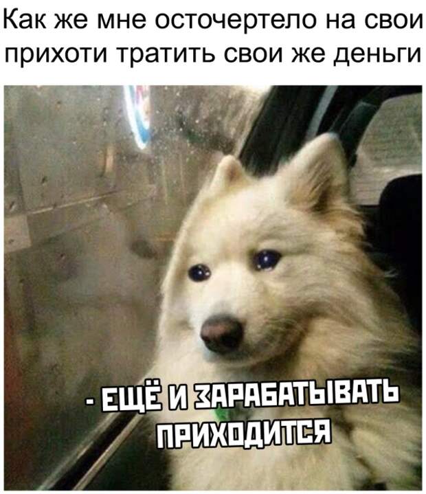 Подборка картинок. Вечерний выпуск (20 фото)