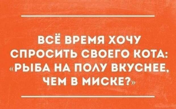 Смешные истории и анекдоты, все для настроения