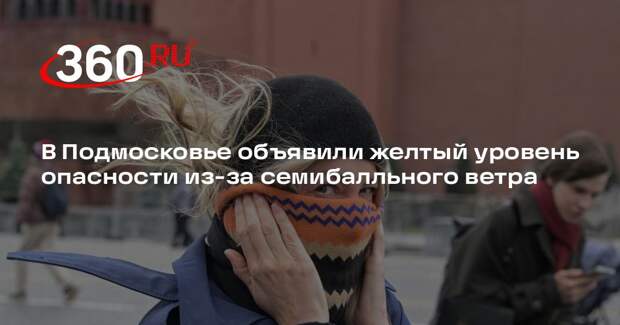 В Подмосковье объявили желтый уровень опасности из-за семибалльного ветра