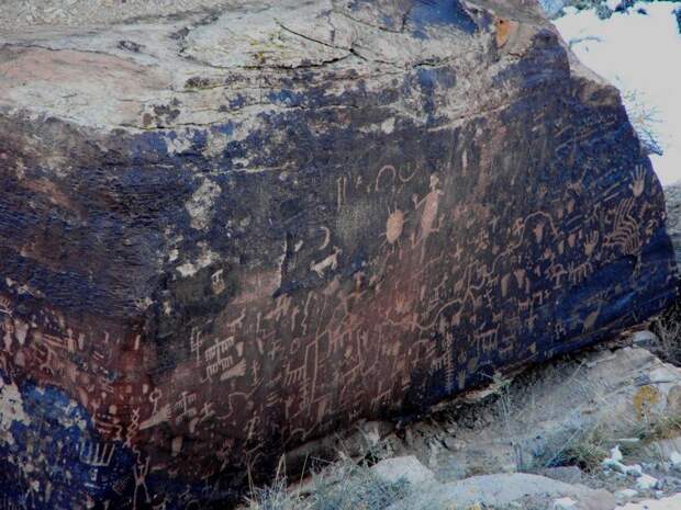 Тысячелетний дом Petrified Forest, Тысячелетний, дом