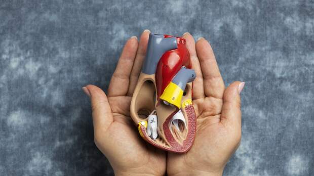 Назван простой способ снижения риска болезней сердца