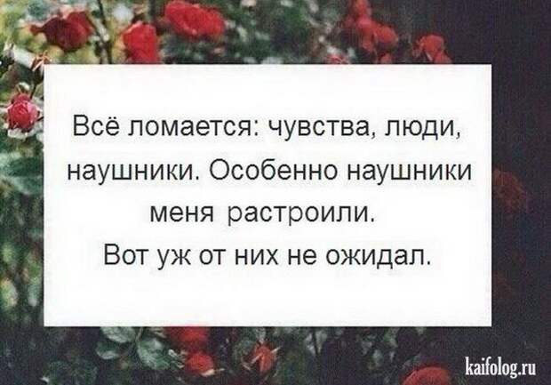 Цитаты картинки (45 картинок)