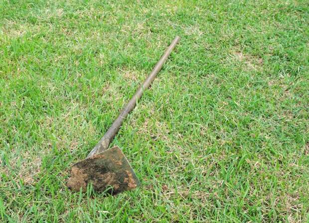 Про наши суеверия - понятно, а вот чего боятся американцы (странные предрассудки)