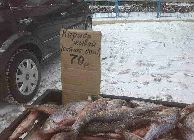 «Карась спит так что тихо тут!»