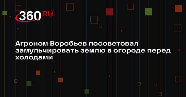 Агроном Воробьев посоветовал замульчировать землю в огороде перед холодами