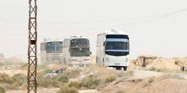 Первые 17 автобусов с боевиками уже выехали из Каламуна