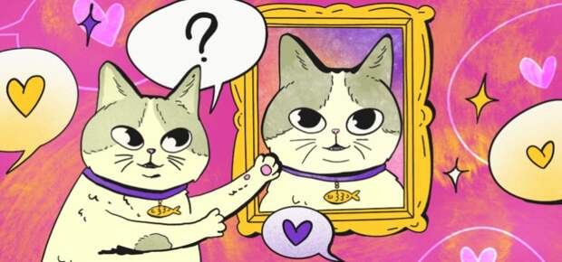 Зачем некоторые люди напрашиваются на комплименты и как на это реагировать