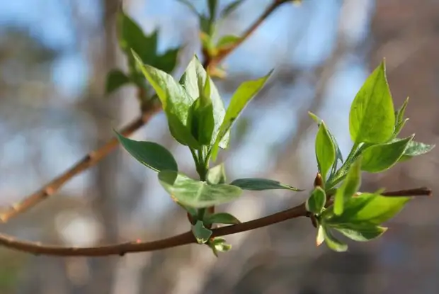 В Астрахани тепло, но ветрено и дождливо