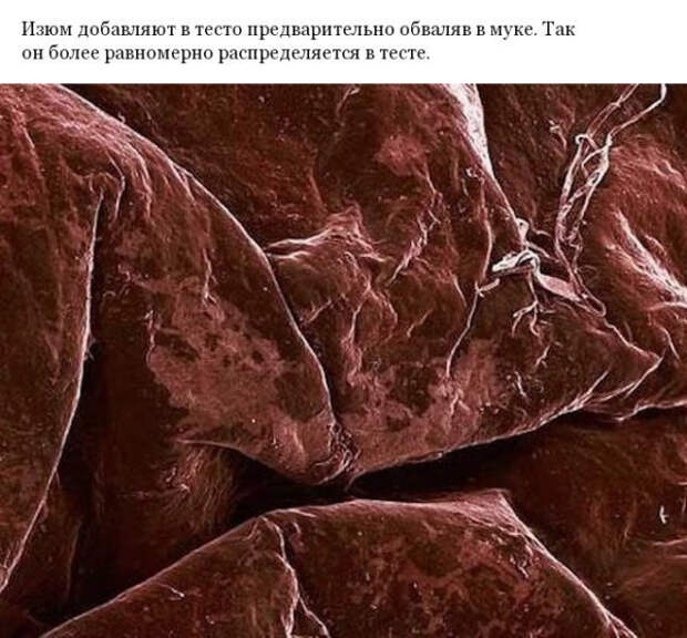 Фото различных предметов под микроскопом