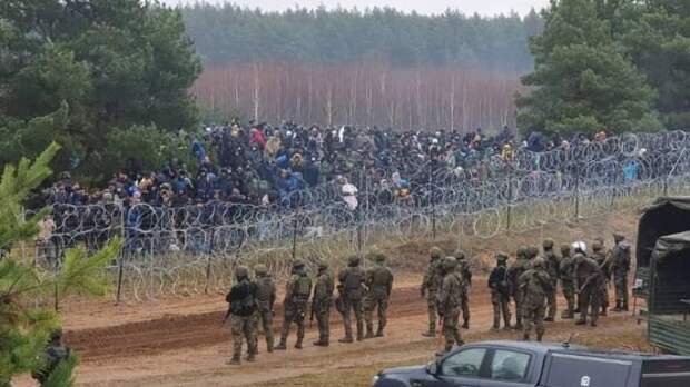 Выплаты пенсионерам, диагноз Гаркалина и давка беженцев на границе: главное за 15 ноября