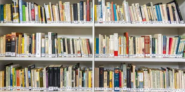 В Москве создан единый сервис для поиска и бронирования книг в библиотеках ― Сергунина / Фото: Е.Самарин, mos.ru