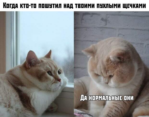 www.vsyako.net
