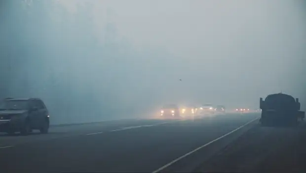 В Курганской области из-за масштабных лесных пожаров ввели режим ЧС