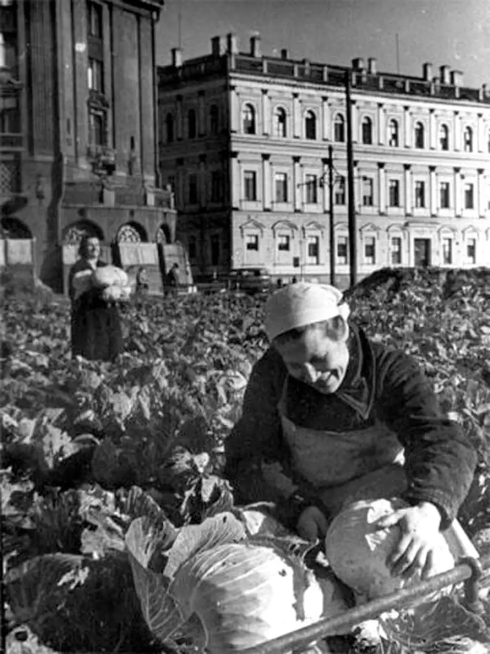 исаакиевский собор в блокаду ленинграда