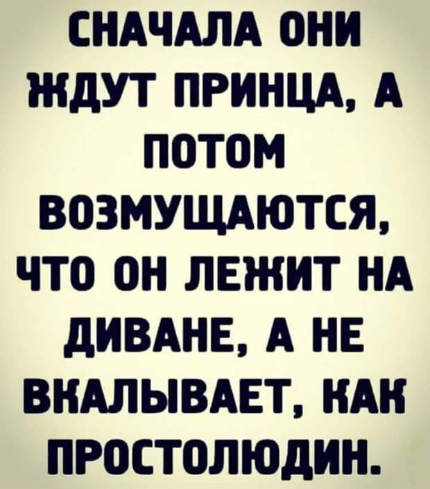 В школе учительница собирает домашние задания. Вовочка говорит...