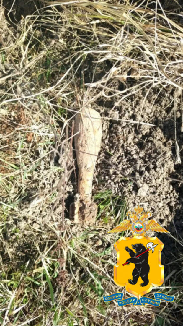 В Ярославле рабочие нашли мину в канаве