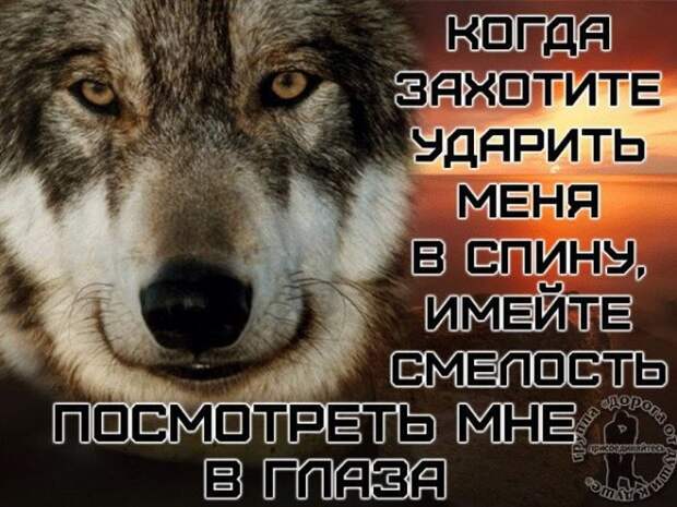 Приколы из «Одноклассников» (40 фото)