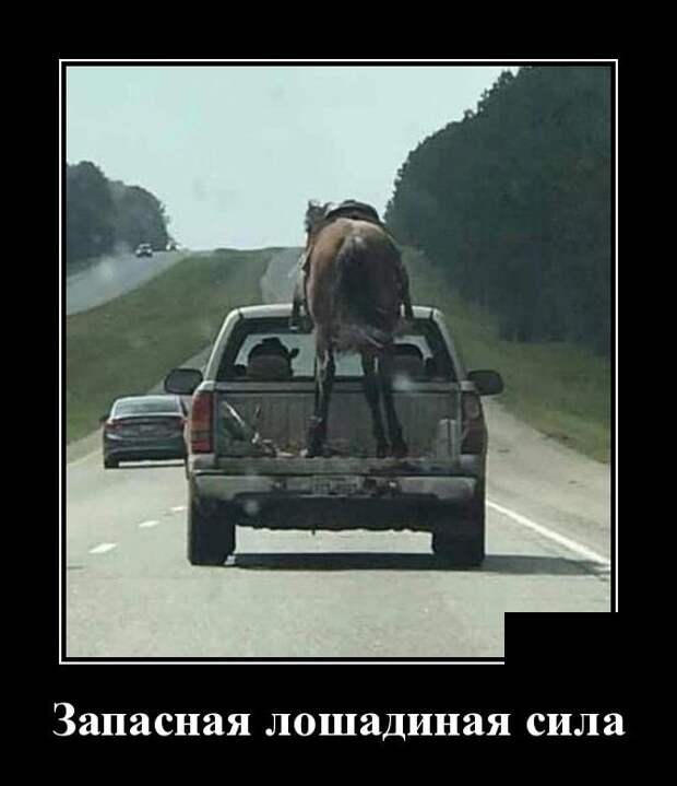 Демотиваторы (30 фото)