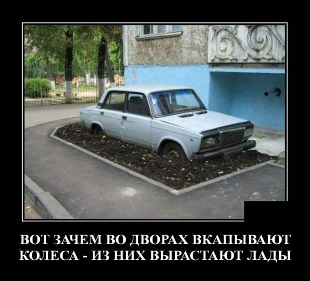 Самые новые демотиваторы (30 фото)