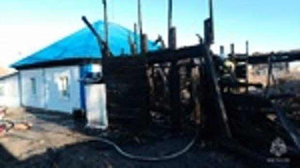 Фото: МЧС Алтайского края