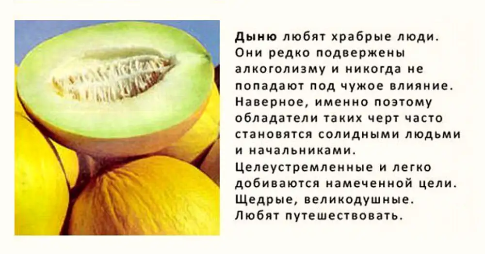 Прикол дынь дынь