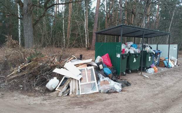 Жители Солотчи жалуются на мусор