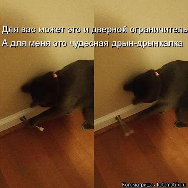 Котоматрицы великолепные, каждая с кусочком позитива и хорошего настроения!!!