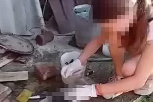 В российском регионе две девушки распяли щенка и вырезали у него сердце