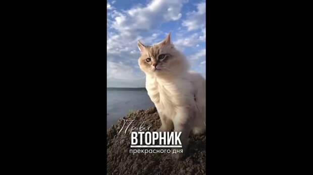 Video: Клип @donetskdnr_vk