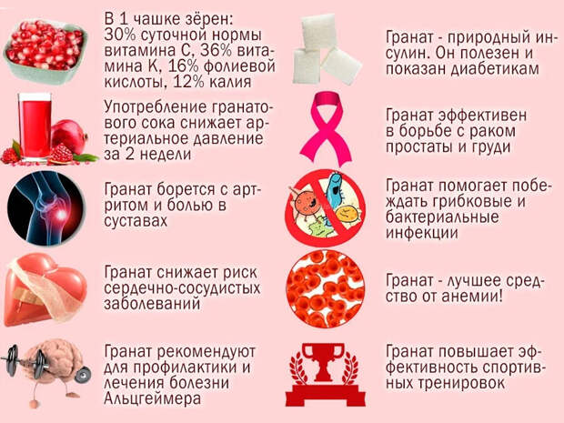 Напиток Гиппократа – лекарство от 100 болезней