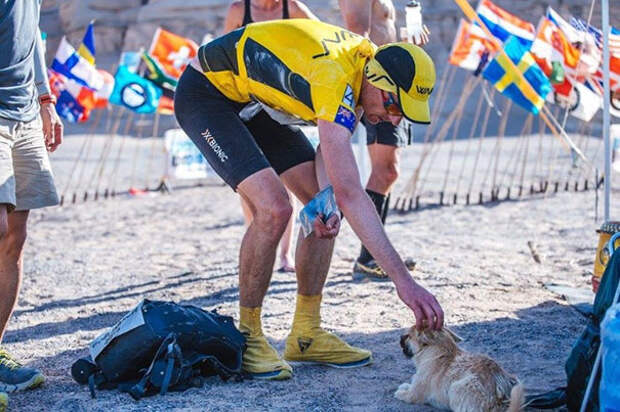 stray-dog-joins-race-gobi-dion-leonard-china-8