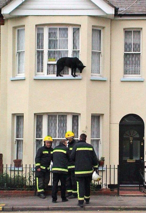 Приколы Приколы