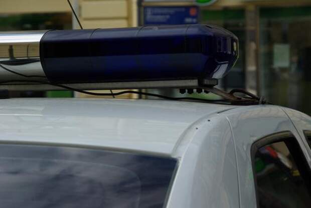 Суд приговорил петербуржцев к лишению свободы за 40-миллионное мошенничество