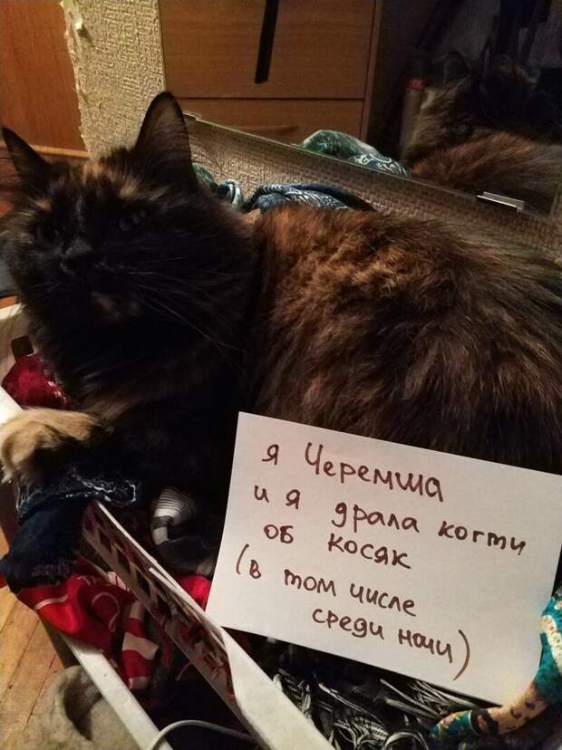 18. «И об обои тоже»