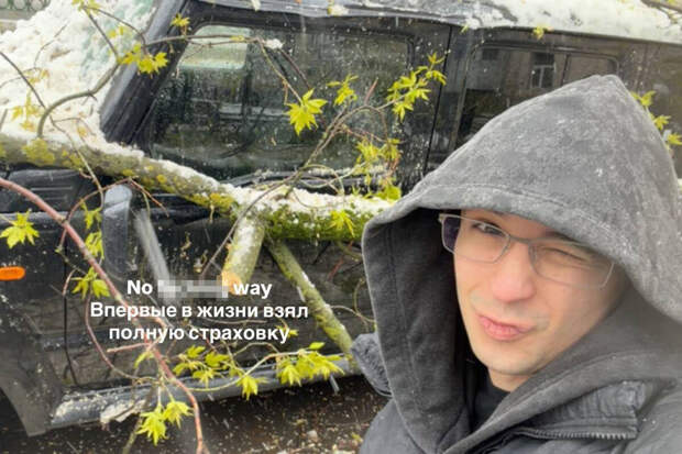 112: дерево рухнуло на новую машину Славы Мэрлоу