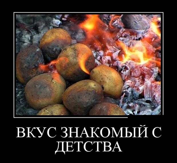Демотиваторы (30 фото)