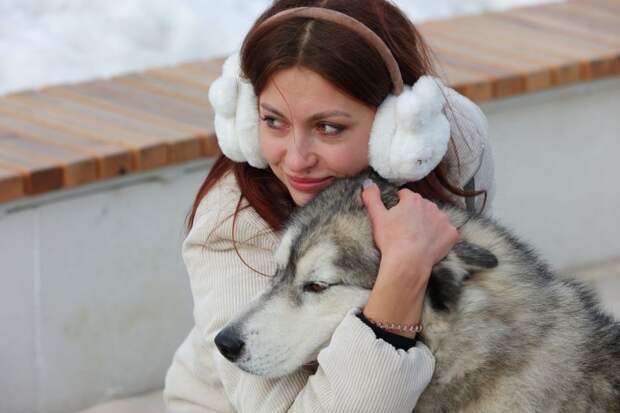 Кошмар для питомцев: из-за фейерверков из дома убегают тысячи животных