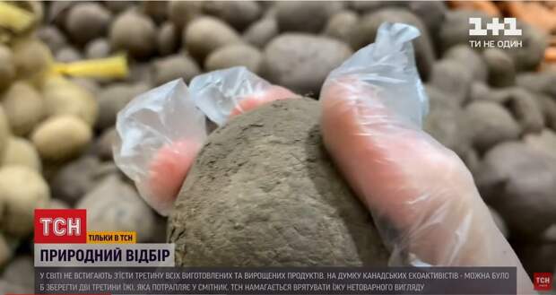Лайфхак от ТСН украинцам: как сэкономить на еде