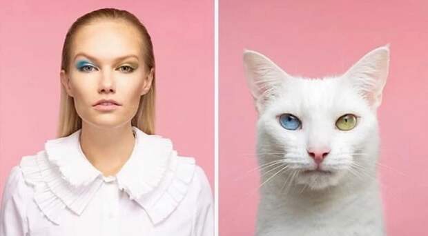 Фотография: Почти не отличить: фотограф показал, как похожи коты со своими хозяевами №18 - BigPicture.ru