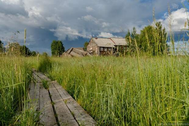 Онежское Верховье путешествия, факты, фото