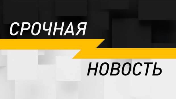 В России идут проверки по факту продажи детей за границу