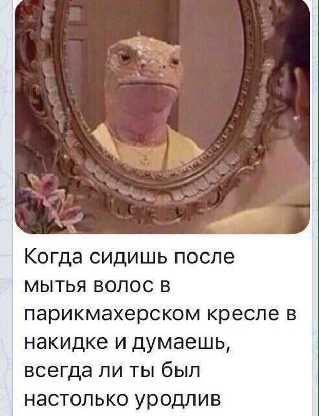 1487632598_shutki_16