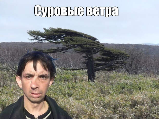 1473358725_04
