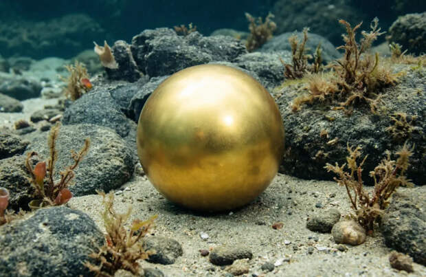 Загадочный золотой шар со дна океана наконец-то удалось идентифицировать